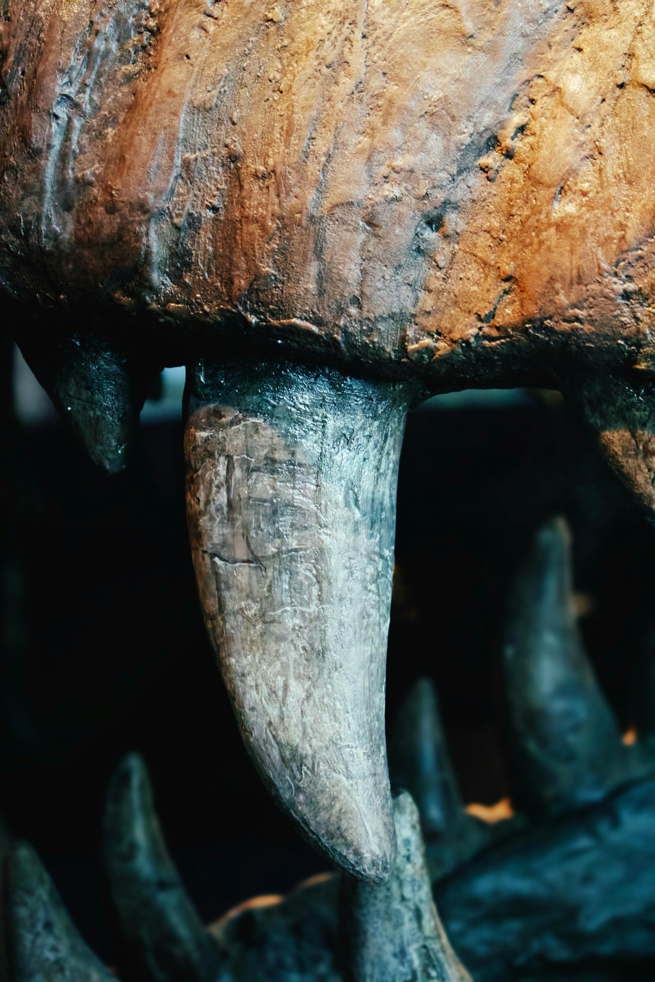 Mesozoic Fossils