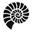 Paleoura logo
