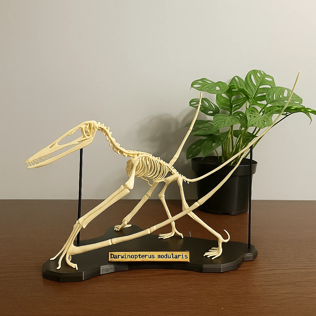 Darwinopterus Skeleton (Life-Sized)